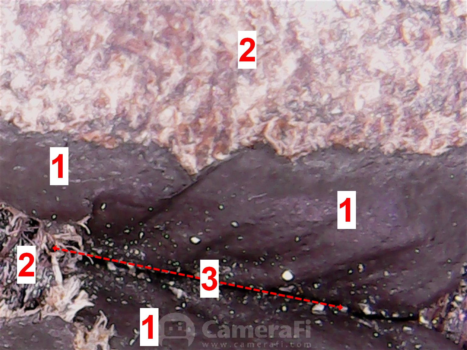 Schadensbild eines Ledersofas unter ca. 50-facher Vergrößerung
